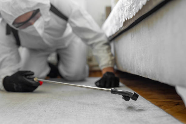 Professional Termite Control technician working in Four Corners, OR