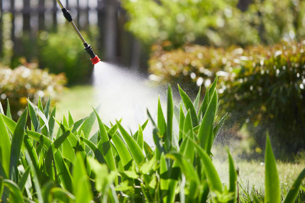 24/7 Emergency Termite Control experts in Four Corners, OR